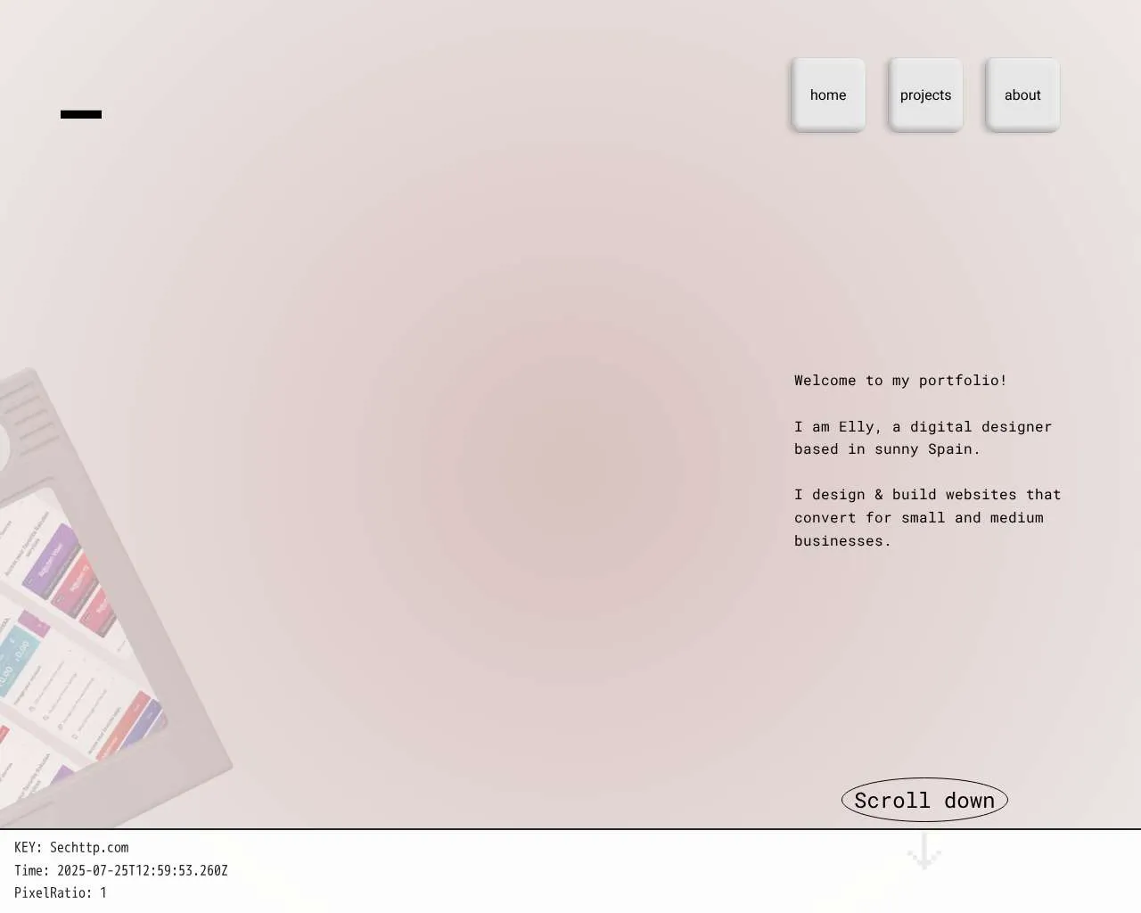 Screenshot of ellysportfolio.webflow.io security scan